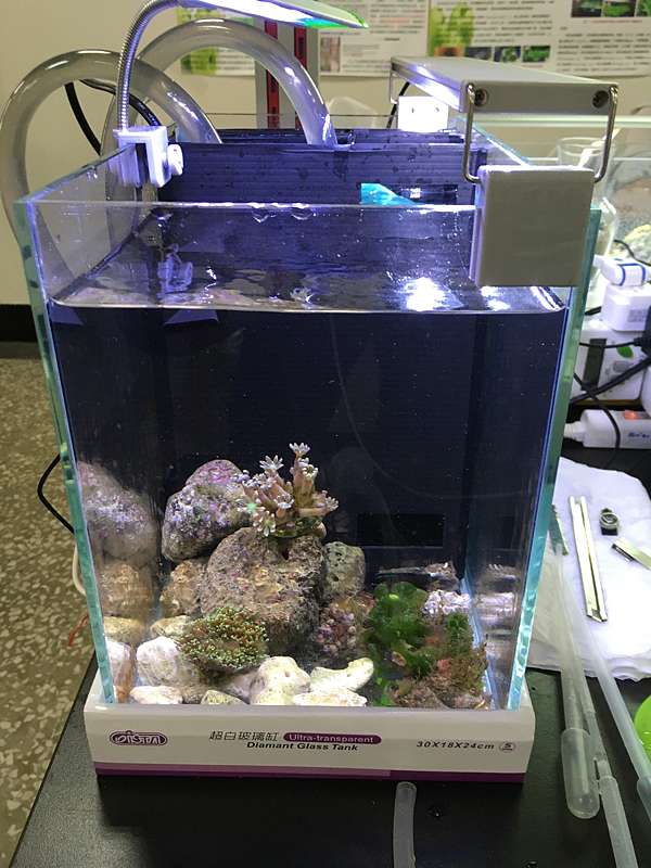 海水缸diy之旅 17 05 天空的牛 痞客邦