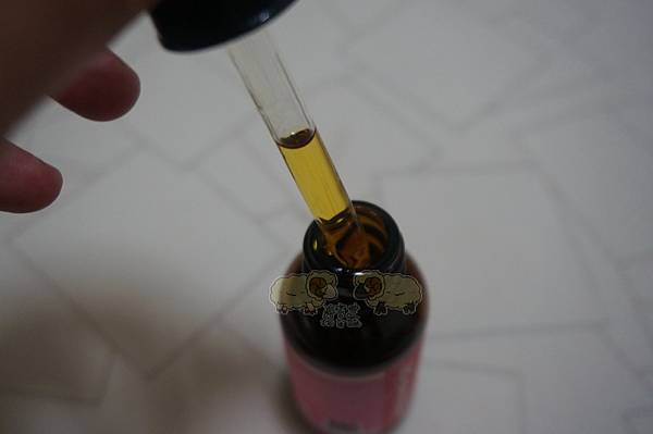 DSC03273.JPG DSC03273.JPG