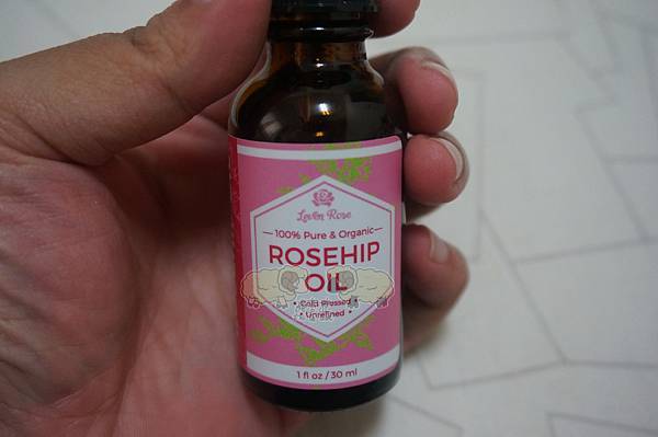 DSC03272.JPG DSC03272.JPG