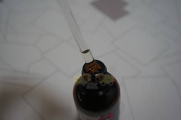 DSC03277.JPG DSC03277.JPG