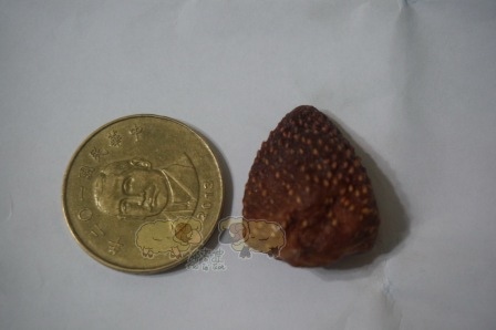 DSC03292.JPG DSC03292.JPG