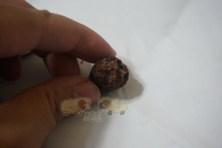 DSC03291.JPG DSC03291.JPG