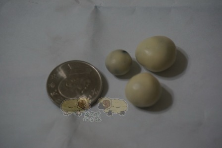 DSC03296.JPG DSC03296.JPG