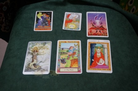 DSC03321.JPG DSC03321.JPG