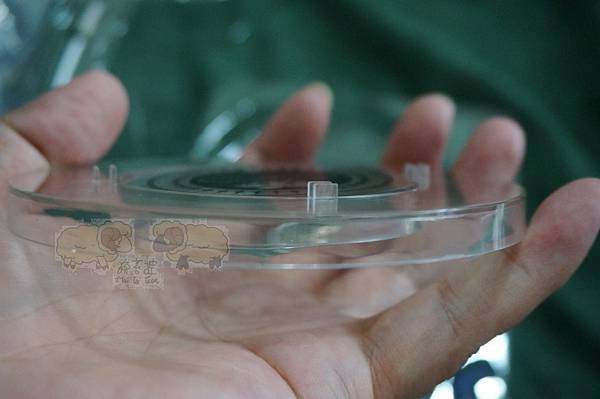 DSC03526.JPG DSC03526.JPG