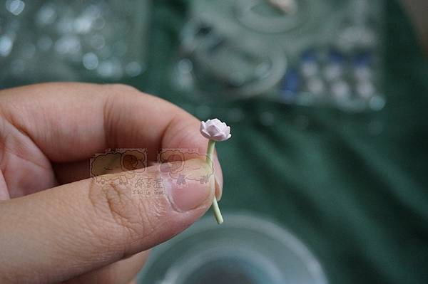 DSC03527.JPG DSC03527.JPG