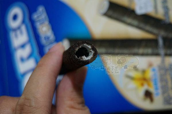 DSC03573.JPG DSC03573.JPG