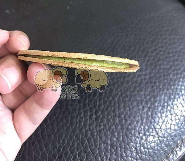 IMG_3816.jpeg IMG_3816.jpeg