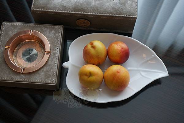 DSC03721.JPG DSC03721.JPG