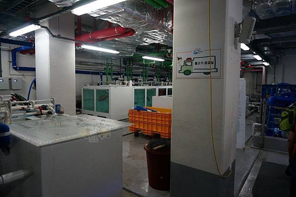 DSC03963.JPG DSC03963.JPG