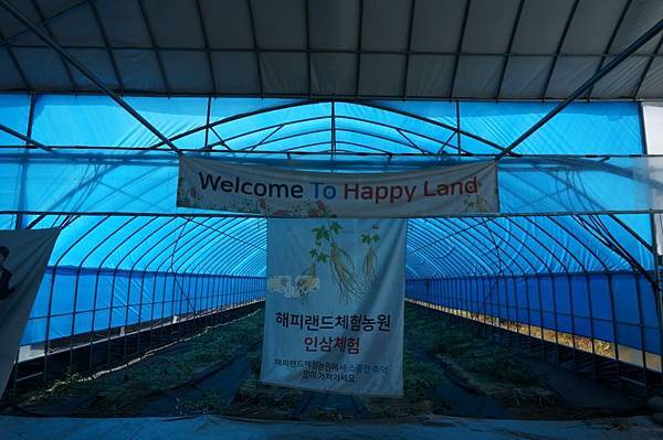 DSC04094.JPG DSC04094.JPG