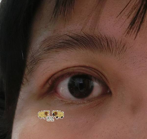 CIMG1135.JPG CIMG1135.JPG