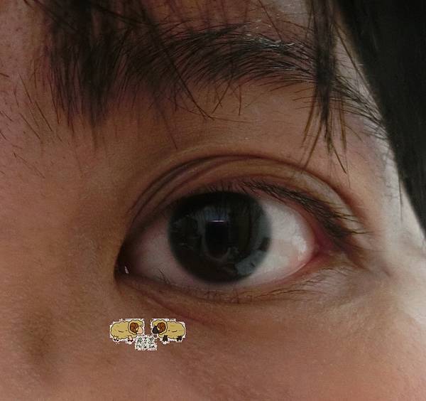 CIMG1136.JPG CIMG1136.JPG