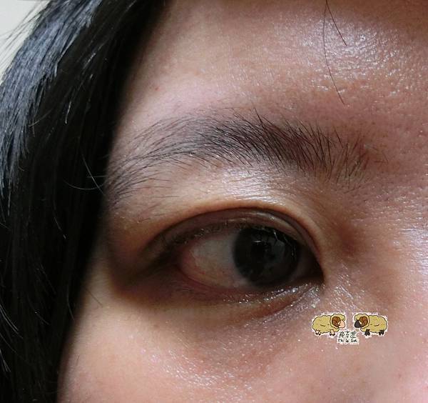 CIMG1139.JPG CIMG1139.JPG