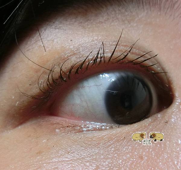 CIMG1147.JPG CIMG1147.JPG