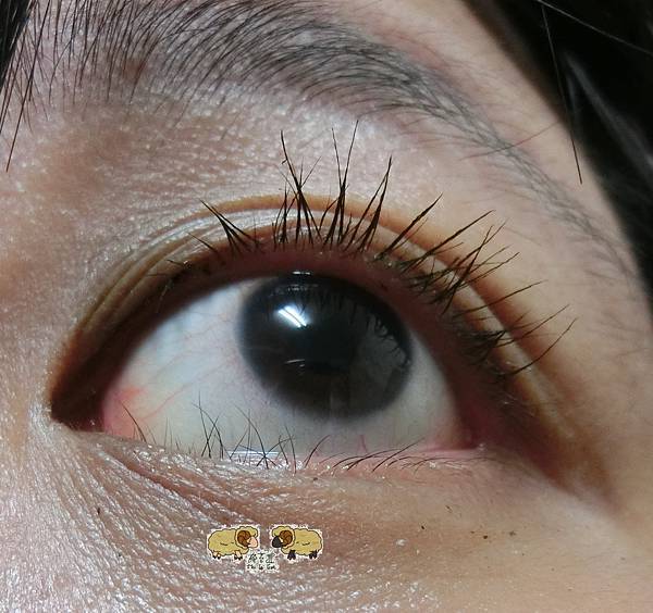 CIMG1149.JPG CIMG1149.JPG