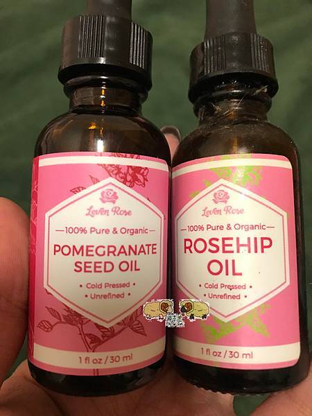 337919224_1230915507798748_5723207063958527608_n.jpg 337919224_1230915507798748_5723207063958527608_n.jpg