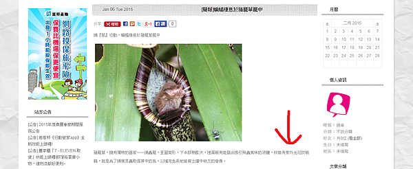 修改好的內文.png 修改好的內文.png