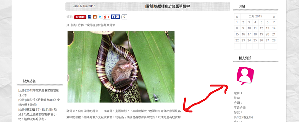 未修改的內文.png 未修改的內文.png