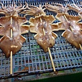 旗津-烤魷魚