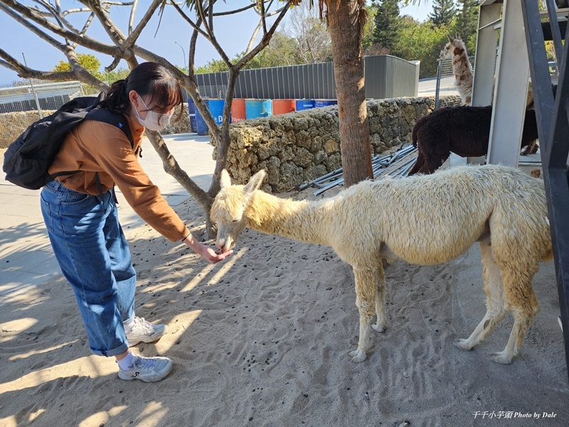 小琉球海洋館7.jpg