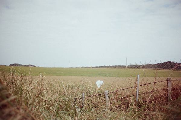 71750012.JPG 71750012.JPG