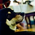 DIC_0137.jpg