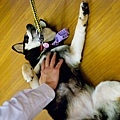 DIC_0155.jpg