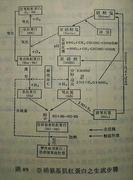 未命名的圖片.jpg