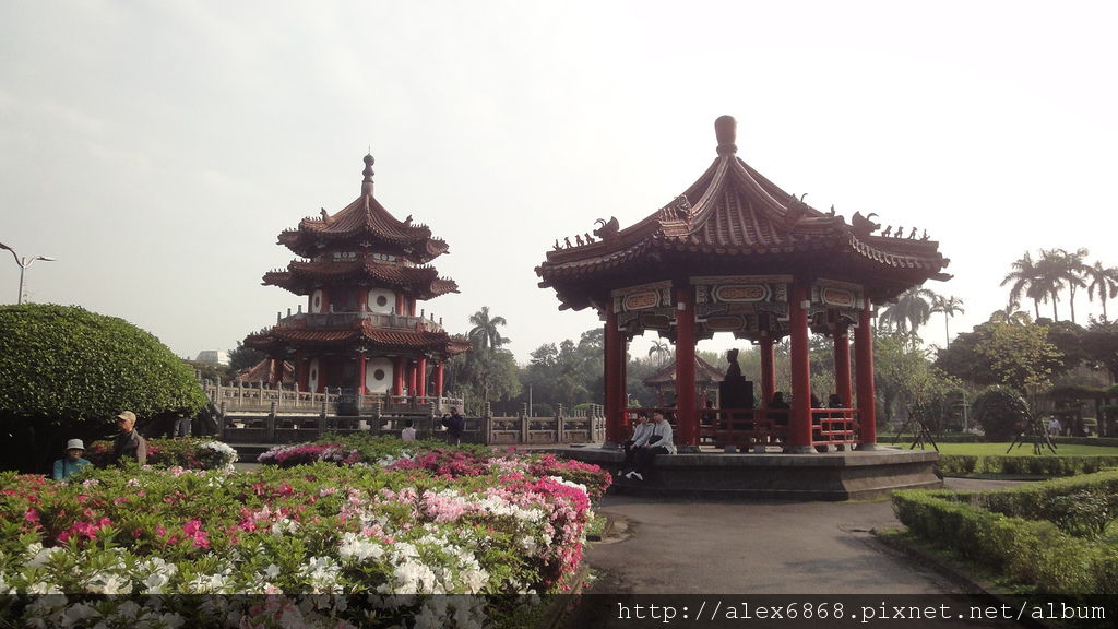 DSC07390 DSC07390