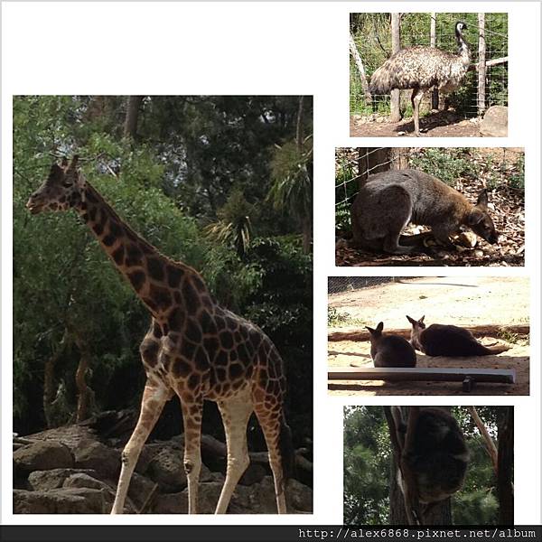 PhotoGrid_1363535678834 PhotoGrid_1363535678834