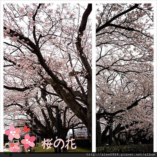 2013-03-31-11-04-02_deco 2013-03-31-11-04-02_deco