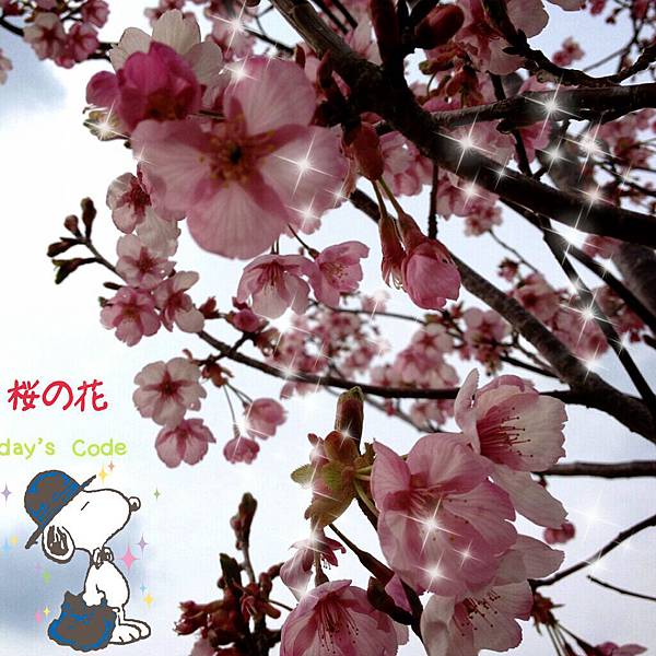 2013-04-14-20-18-24_deco 2013-04-14-20-18-24_deco