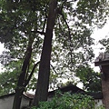 IMAG3985.jpg