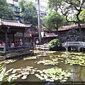 IMAG4055.jpg