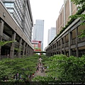 20140817_153831_1.jpg