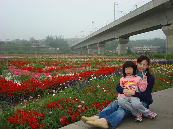 通霄花海妻妹.JPG