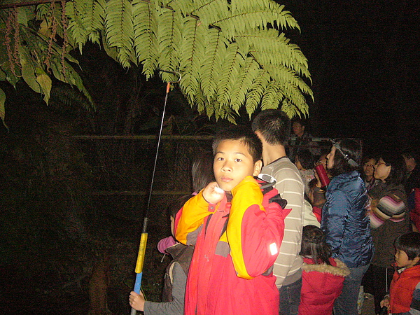 熱帶雨林毒蛇區夜遊