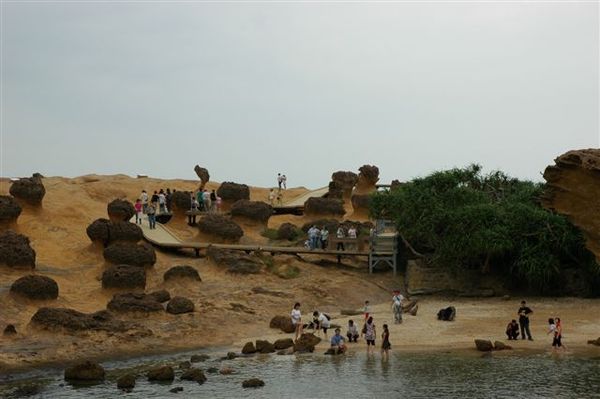 野柳地質公園 (66).JPG