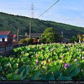 2011 0621 041.jpg