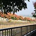 2011 1008 021.jpg