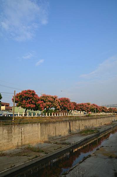 2011 1008 025.jpg