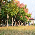 2011 1008 029.jpg