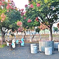 2011 1008 052.jpg