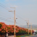 2011 1008 057.jpg