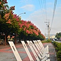 2011 1008 061.jpg