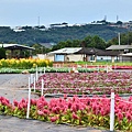 2011 1108-1 001.jpg