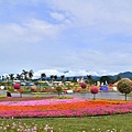 2011 1108-1 039.jpg