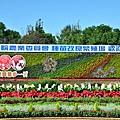 2011 1115 新社花況 097.jpg