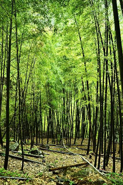 2011 1109 015-1.jpg 2011 1109 015-1.jpg